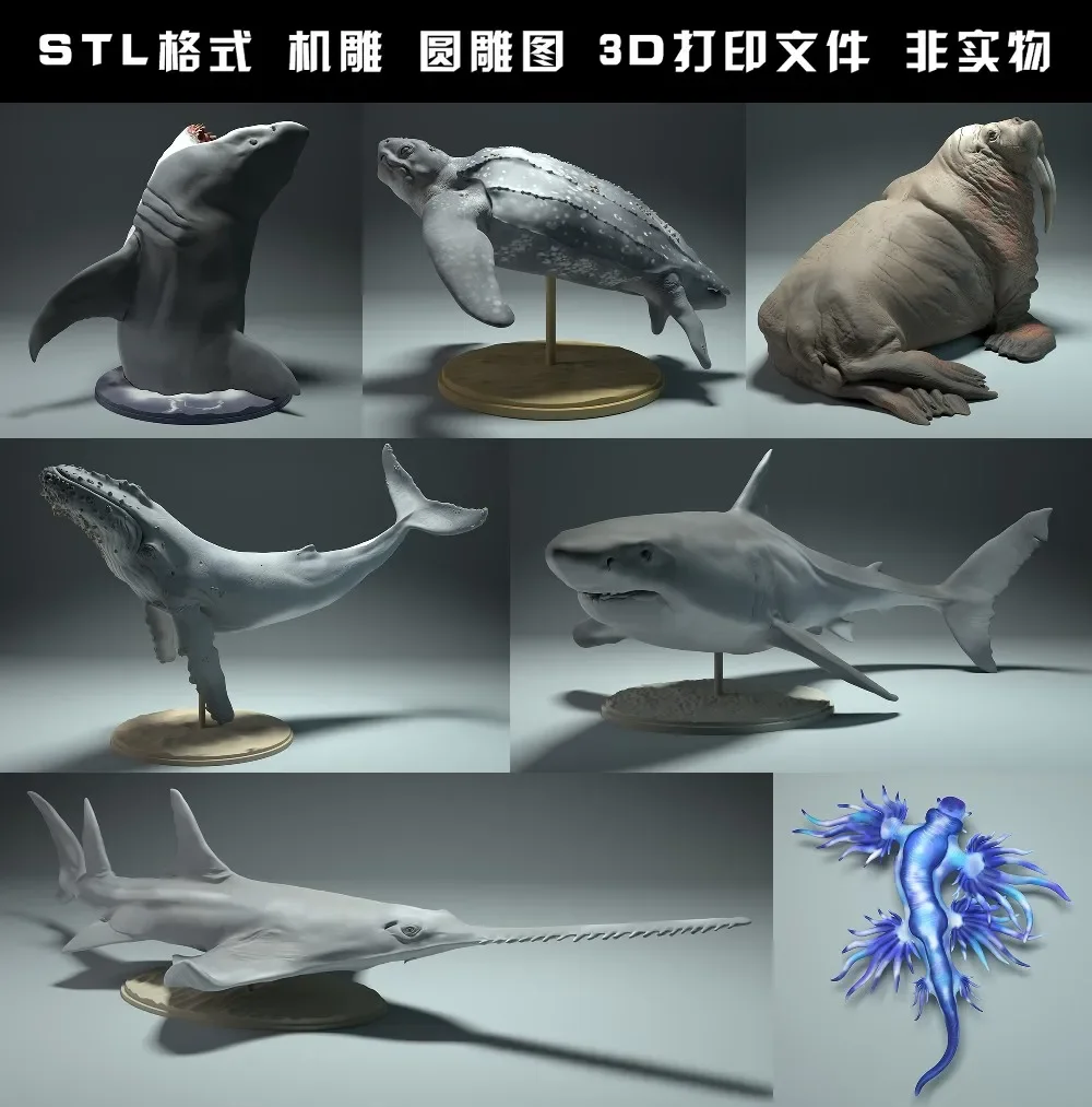 animals, polar bear, takin, wo - 3D Printing Rabbit review and price