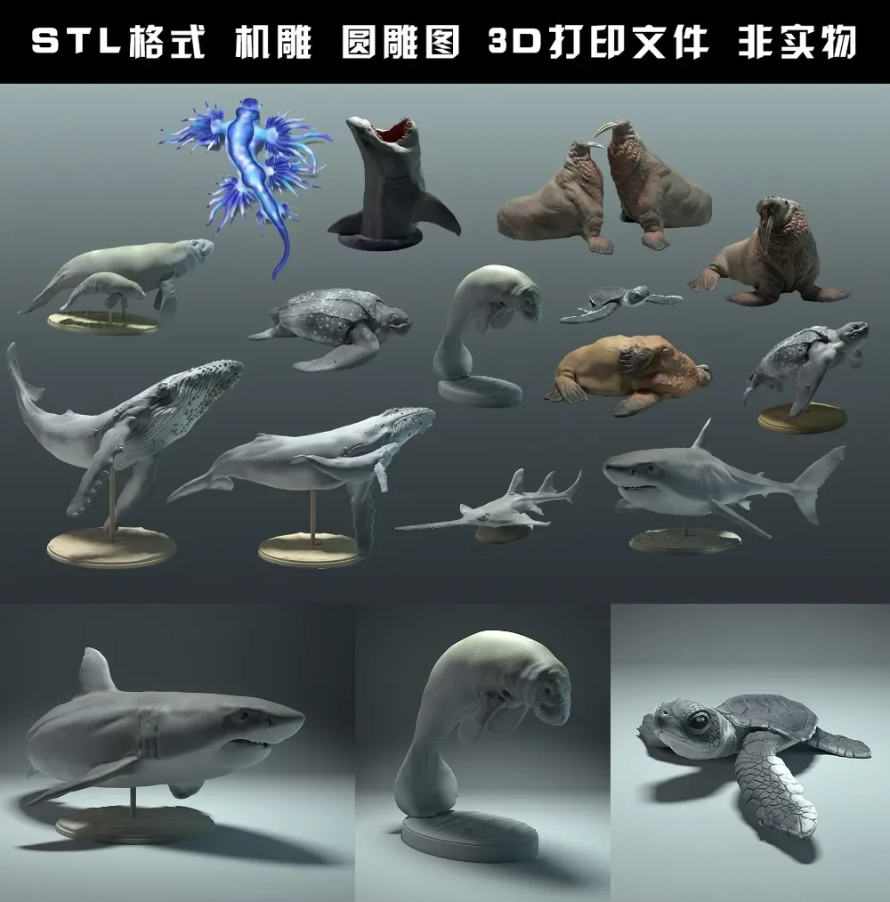animals, polar bear, takin, wo - 3D Printing Rabbit review and price