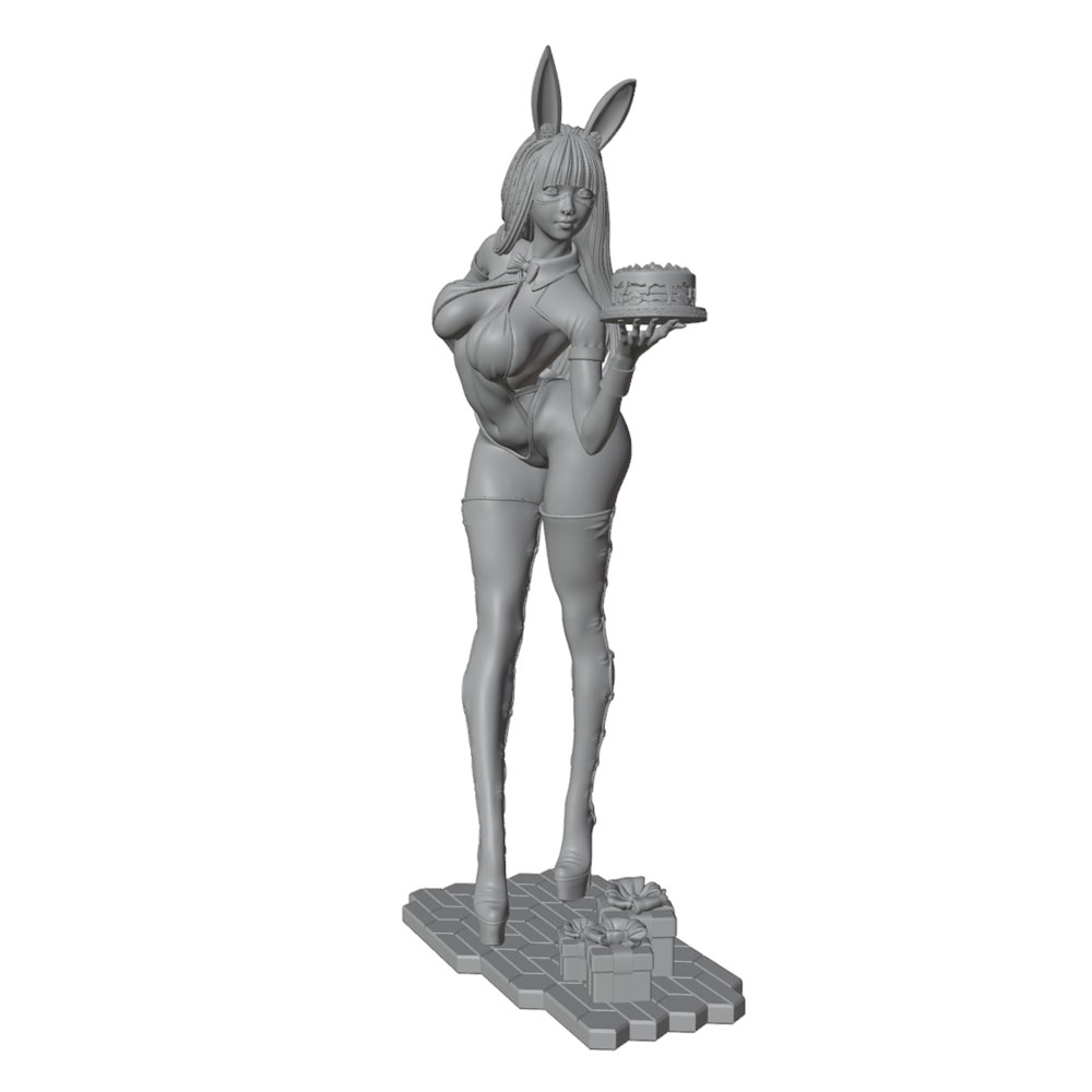 1/24/12/6 Holiday Party Theme  - 3D Printing Rabbit review and price