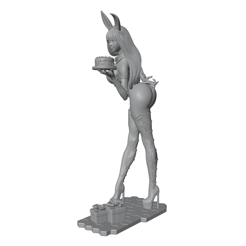 1/24/12/6 Holiday Party Theme  - 3D Printing Rabbit review and price