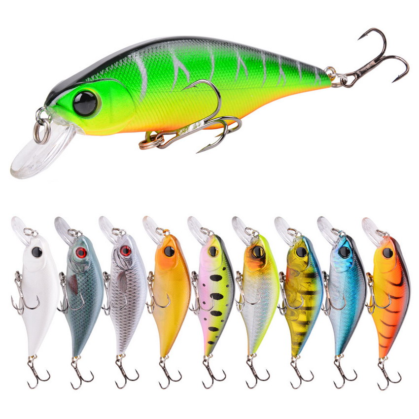 1pcs High Quality Minnow Fishi - 3D Printing Lure review and price
